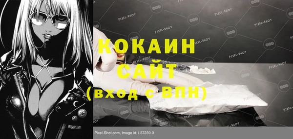 прущие грибы Сафоново