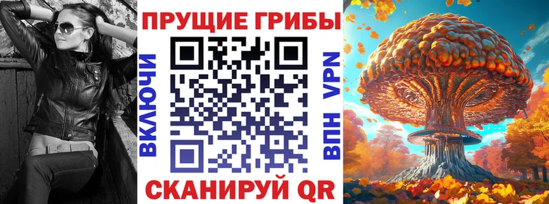 Купить  Чердынь  Галлюциногенные грибы мицелий 